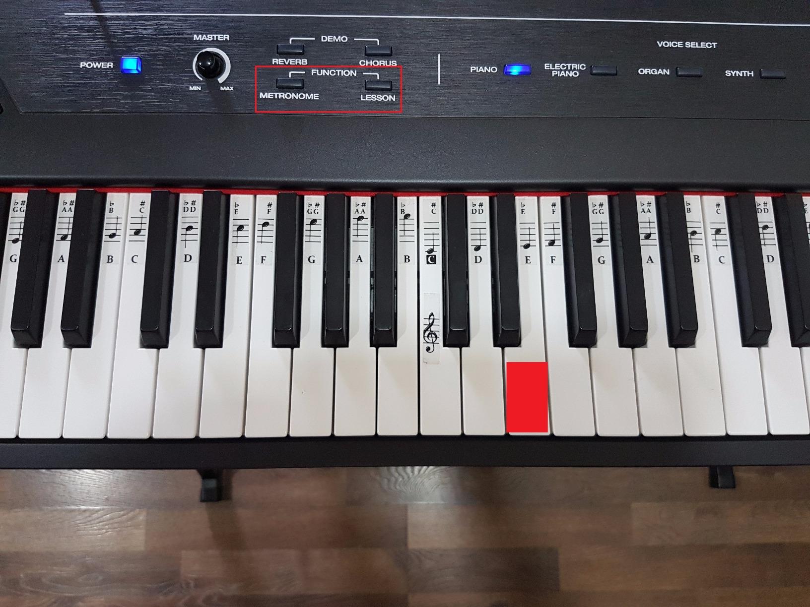 Alesis Recital 88-Key Digital Piano with Semi-Weighted Keys customer photo 1