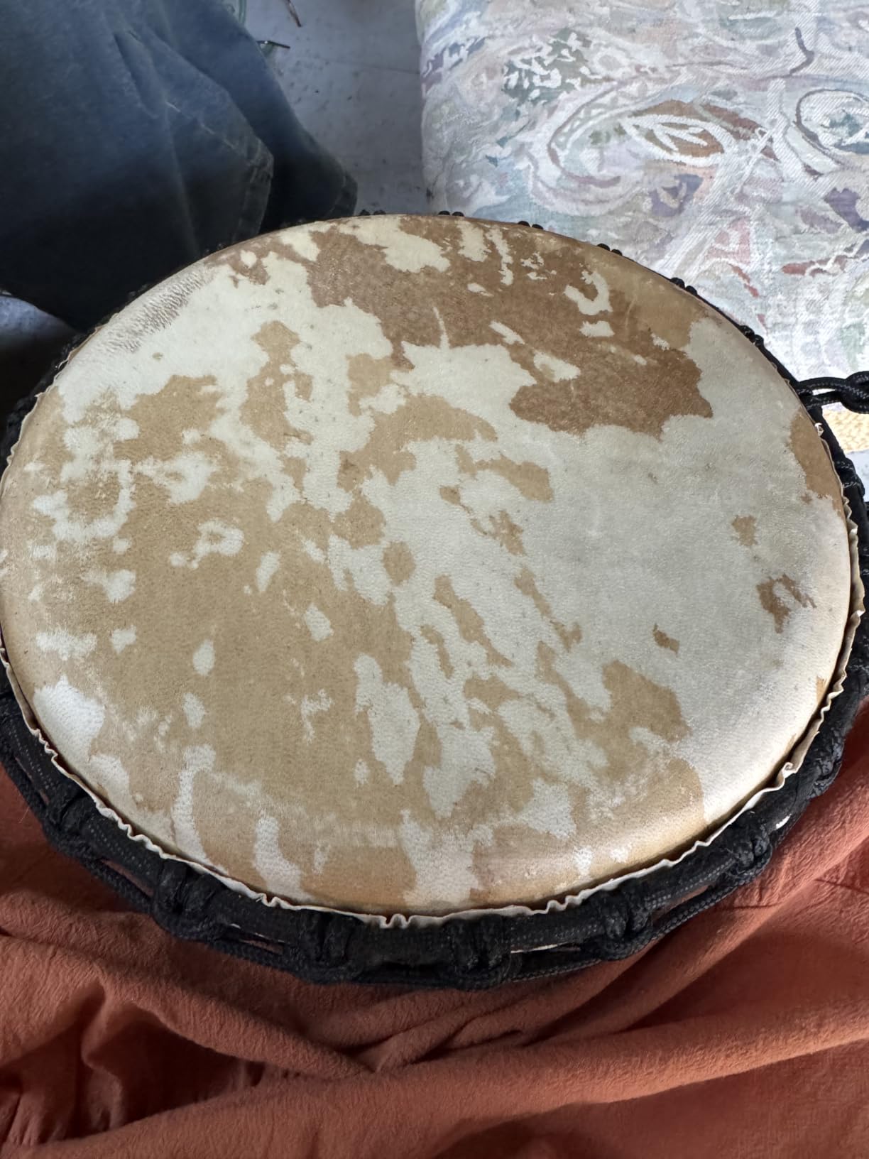 Terre Djembe Standard Line Carved - Mahogany Wood with Natural Goat Skin, 24