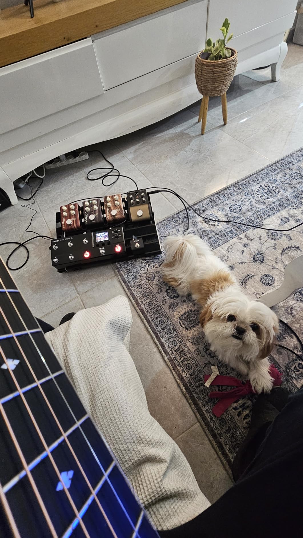 Line 6 HX Stomp XL Multi-Effects Guitar Pedal Processor customer photo 1