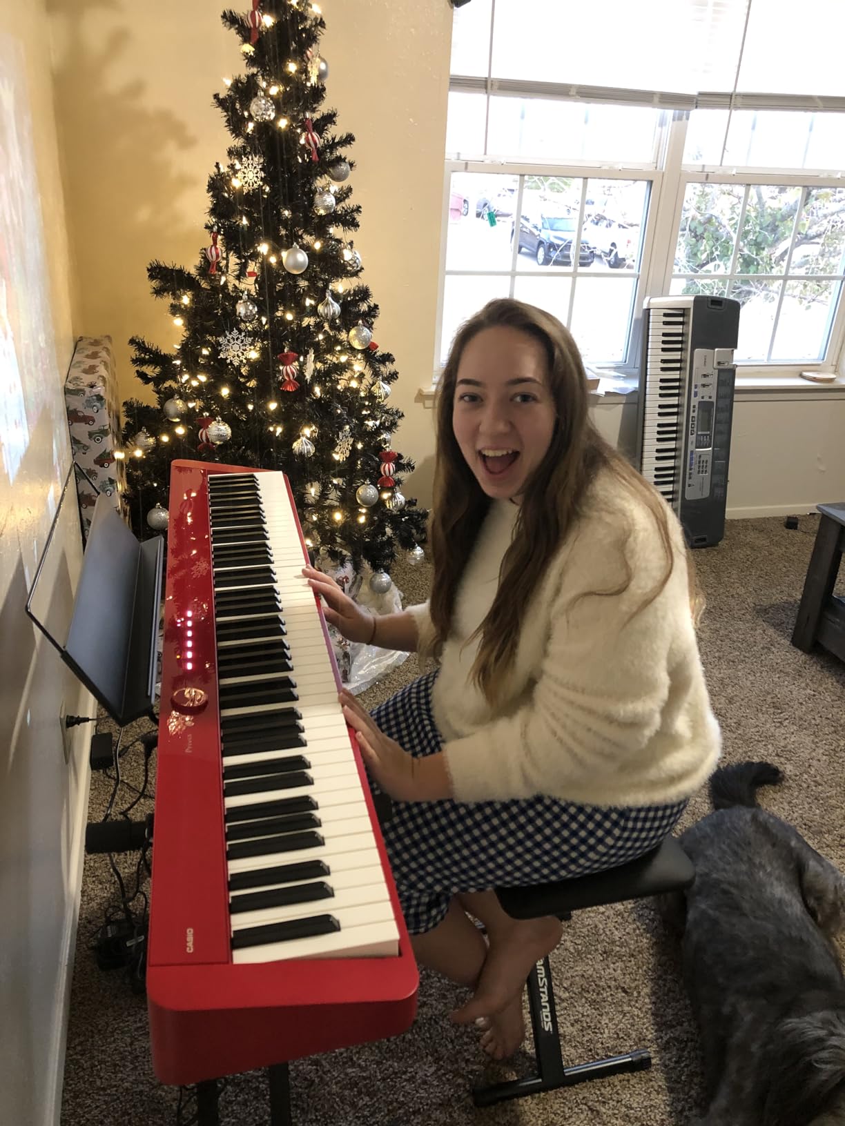 Casio Privia PX-S1100 Digital Piano - Red Bundle with Adjustable Stand, Bench, Sustain Pedal, Instructional Book, Online Lessons customer photo 2