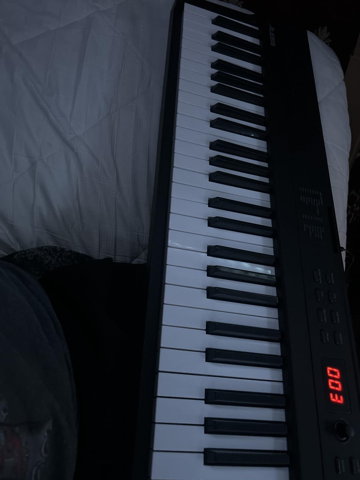 Alesis Recital Play 88-Key Piano Keyboard Bundle customer photo 1