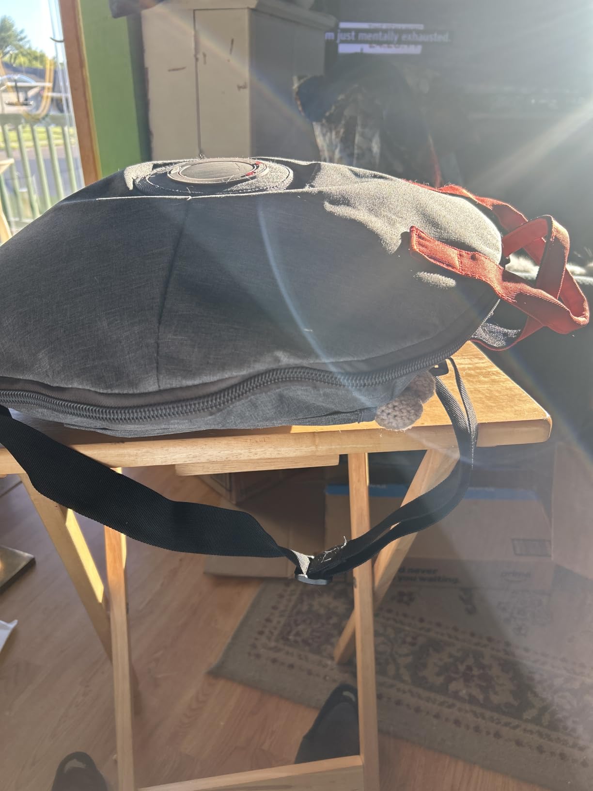 Pro (Sandstone) | Steel Tongue Handpan with Music Book, Mallets, Carrying Bag & Finger Picks | 15 inch, 432 Hz | Rain Drum for Inside, Outside | Calming Musical Instrument for Adults, Kids customer photo 2