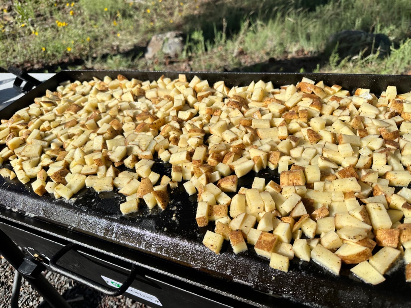 Professional Fry Griddle, 14
