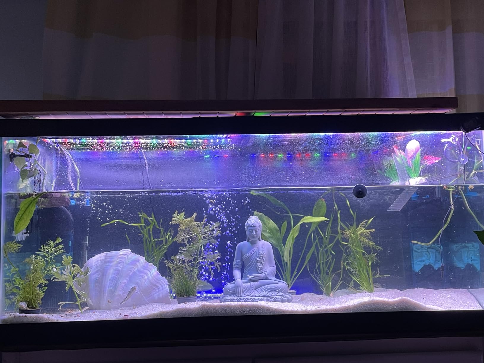 Penn-Plax Cascade 600 Fully Submersible Internal Filter - Provides Physical, Biological, and Chemical Filtration for Aquariums and Turtle Tanks customer photo 2