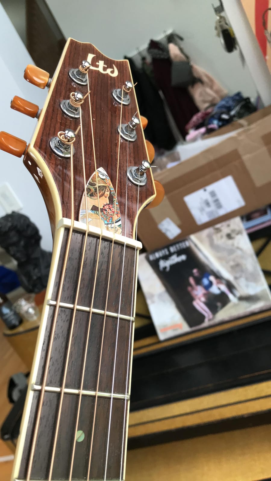 Ernie Ball Earthwood Medium Light Phosphor Bronze Acoustic Guitar Strings, 12-54 Gauge (P02146) customer photo 1