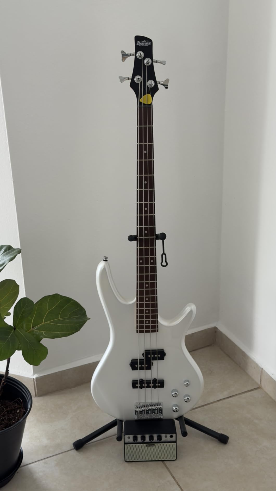 Ibanez Gio GSR200JB Bass Guitar - Jewel Blue customer photo 2