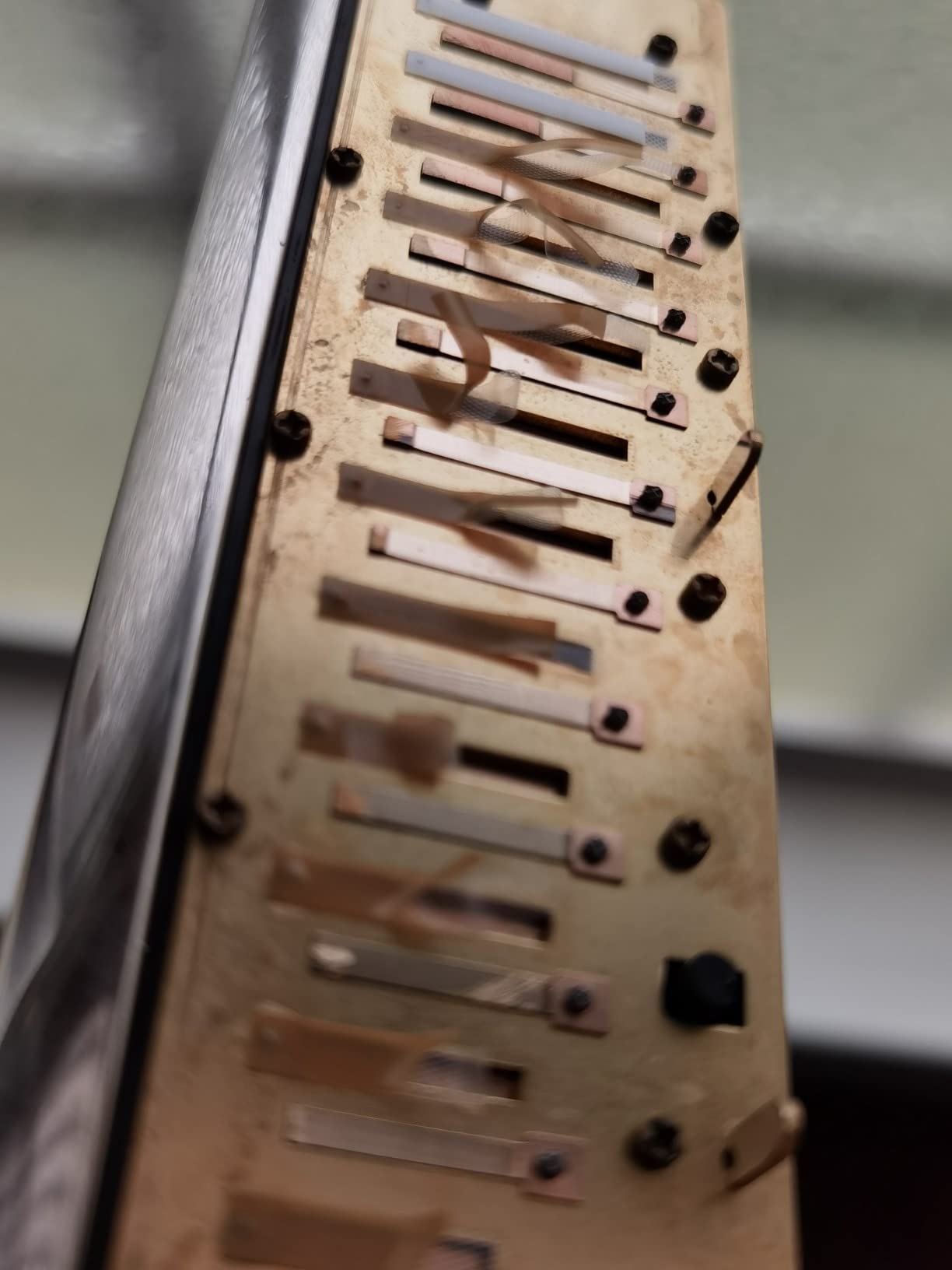 Hohner The 64 Chromonica Chromatic Harmonica, Key of C customer photo 2
