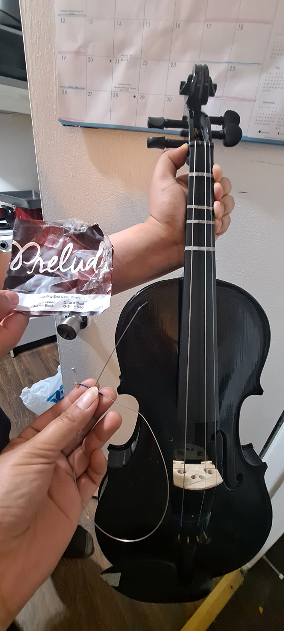 D'Addario Prelude Violin String Set, 4/4 Scale, Medium Tension | Prelude violin strings provide warm tone, excellent bow response, durability and stable tuning for students. customer photo 1