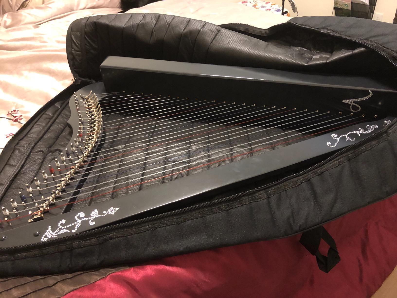 Mid-East Minstrel Harp TM Nylon Case customer photo 2