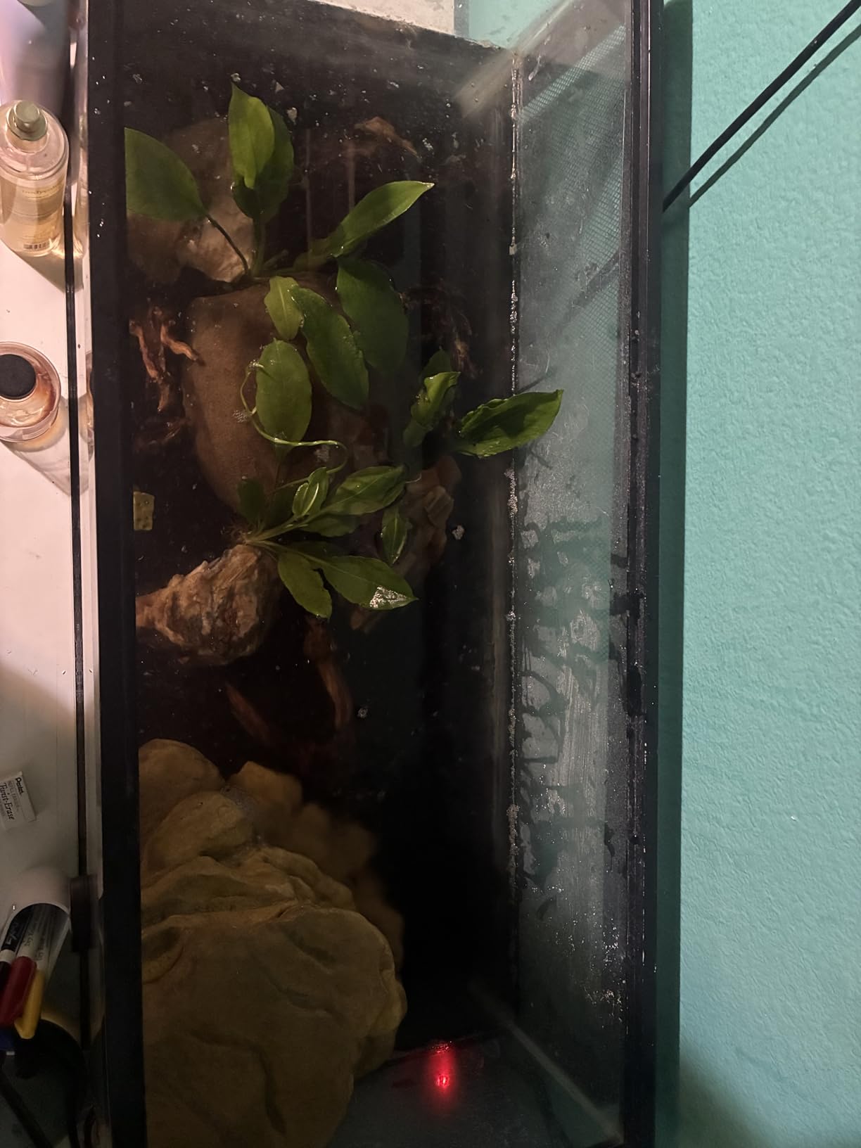 Tetra Decorative ReptoFilter Terrarium Filter For Frogs, Newts & Turtles customer photo 2
