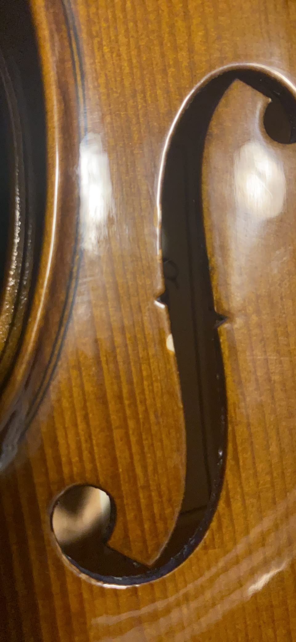 Cremona SV-175 4/4 Premier Student Violin Outfit customer photo 1