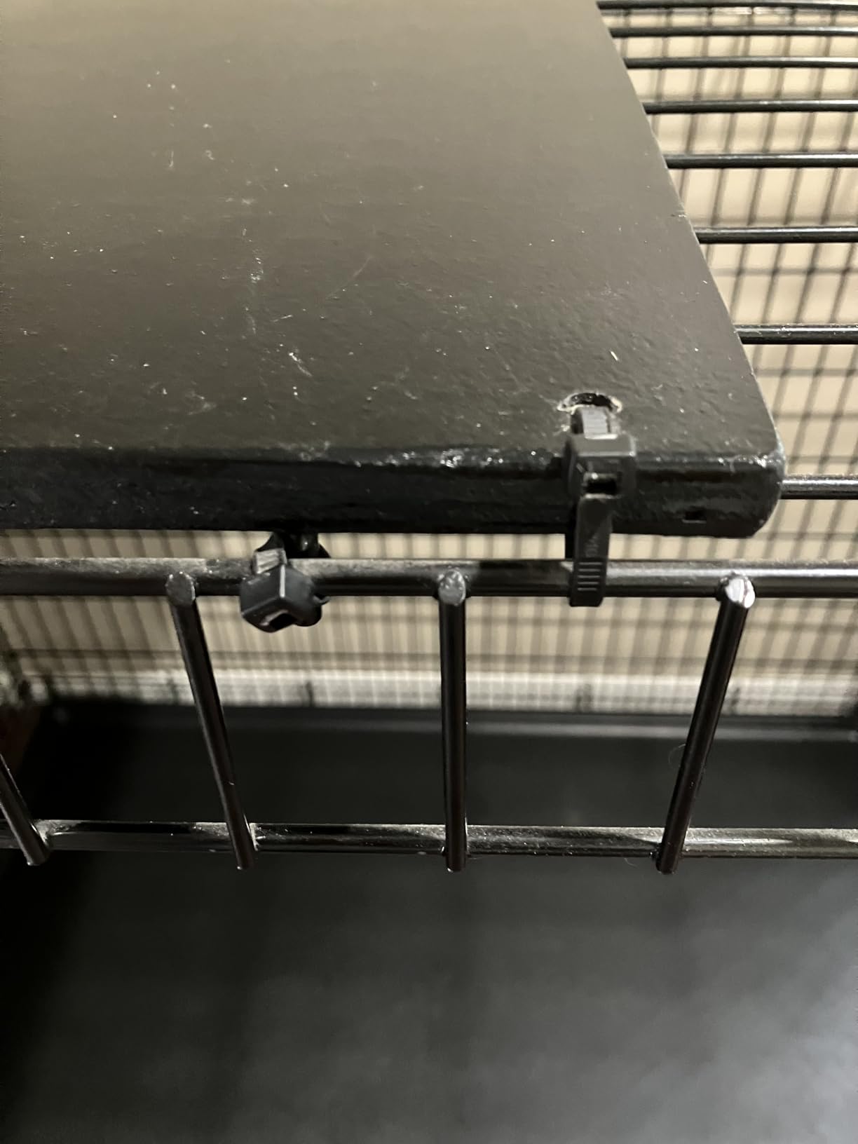Midwest 42-Inch Double Door iCrate, for Large Breeds, 71-90 lbs | Folding Dog Crate with Divider Panel, Leak-Proof Tray & Secure Latches, Portable, Durable & Easy to Assemble customer photo 2