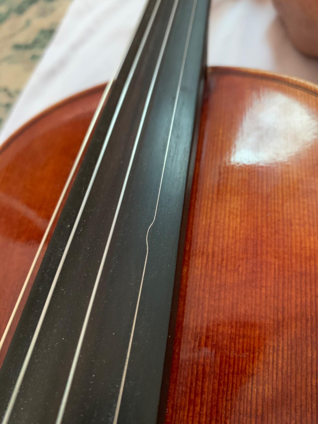 JSI Special 4/4 Violin String Set: Gold Label Ball-End E & Dominant A, D, and G Strings - Medium Gauge customer photo 1