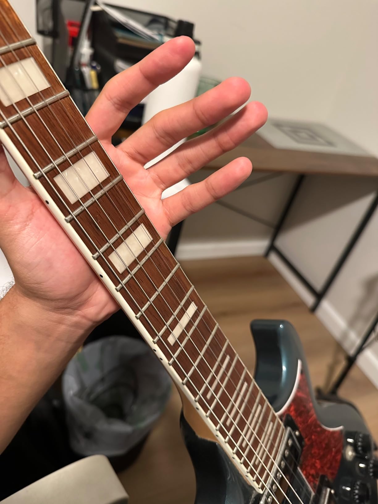 Jim Dunlop System 65 Body & Fingerboard Cleaning Kit (6503) customer photo 1