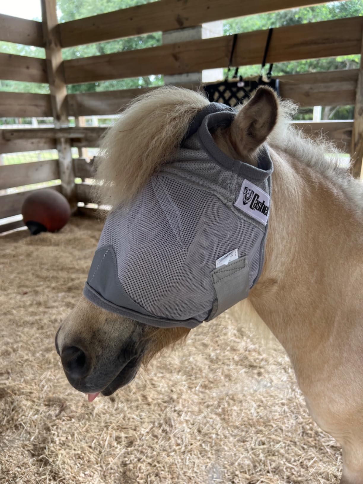 Cashel Crusader Standard Fly Mask No Ears or Nose, Gray, Horse customer photo 1