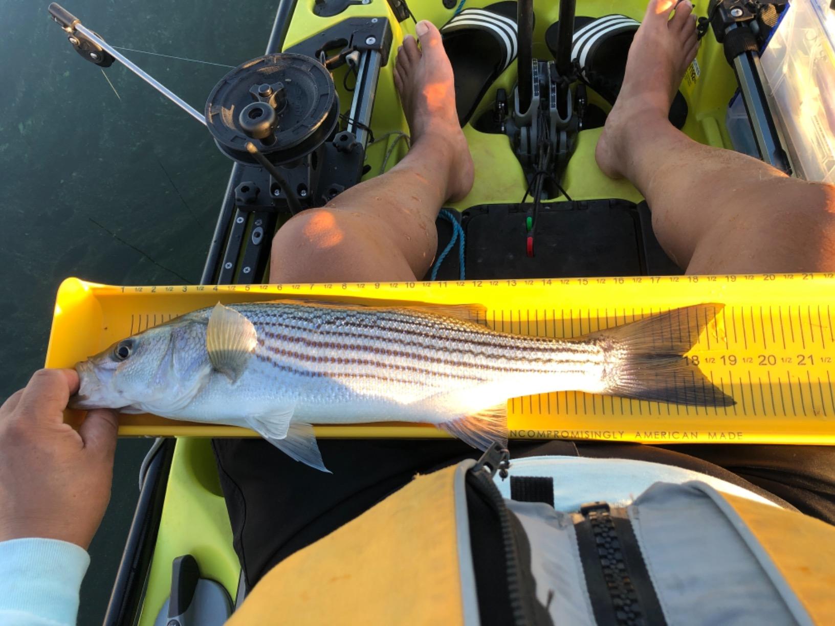 Scotty #1073DP Laketroller Manual Downrigger, Post Mount, Adjustable, 360 Degrees of Rotation customer photo 2