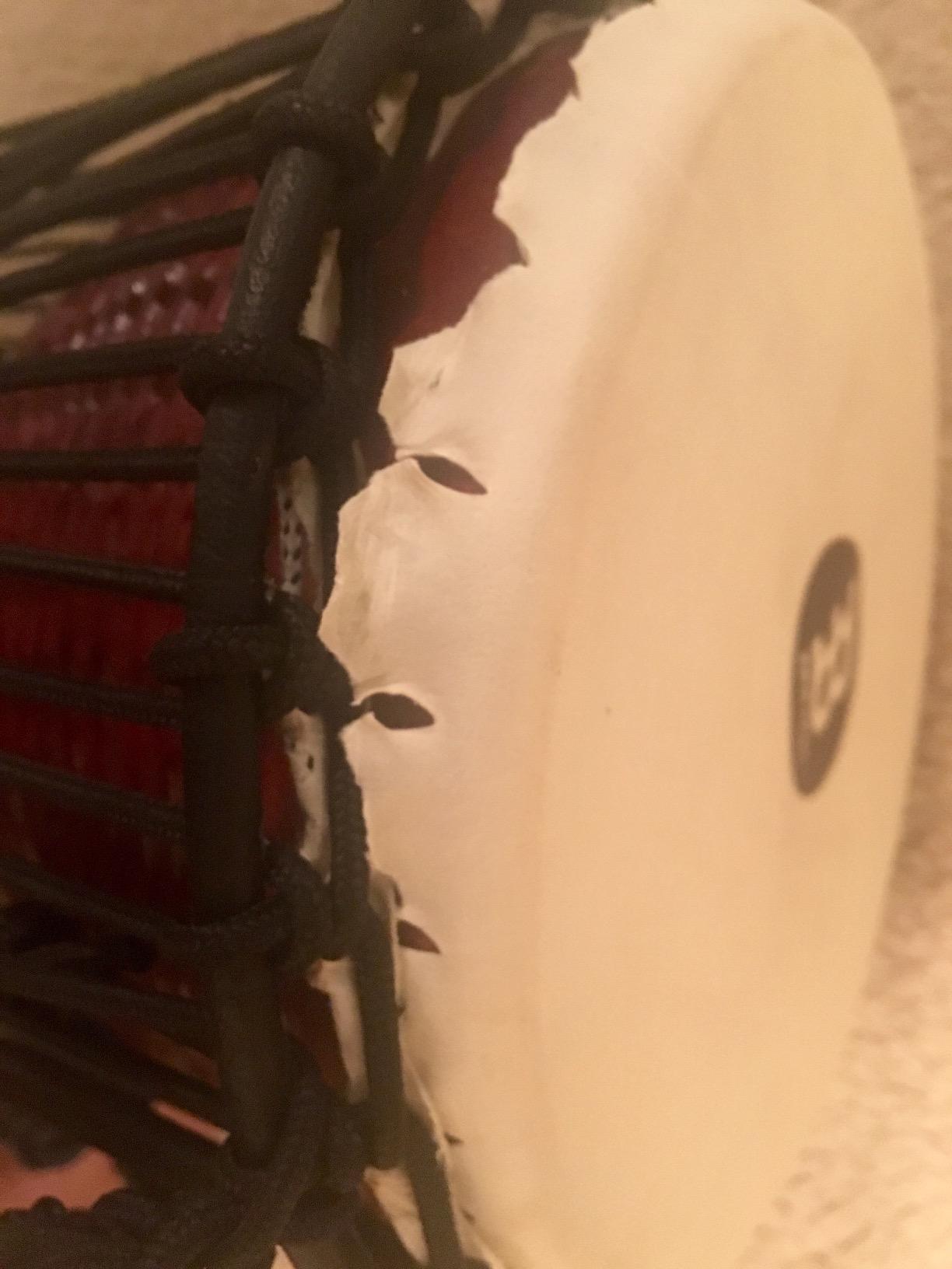 Meinl African Talking Drum with Mahogany Wood Shell and Wooden Beater - NOT MADE IN CHINA - Medium Size Goat Skin Heads, 2-YEAR WARRANTY (ATD-M) customer photo 1