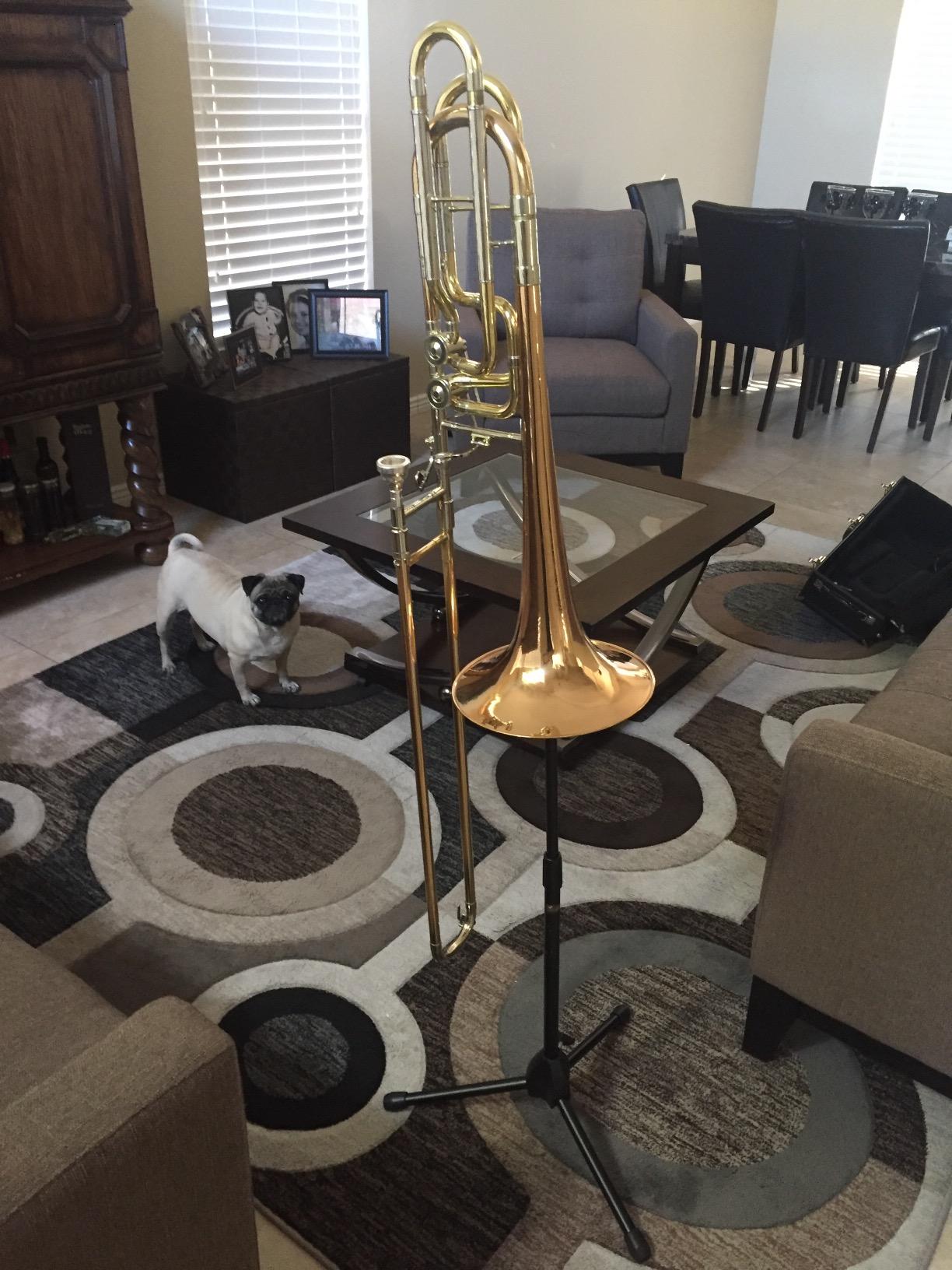 Hamilton KB950 Trumpet Stand - Stable Tripod Base, Spring-Cushioned Bell Cup, Built for Daily Use, Folds for Travel, Black Finish customer photo 1