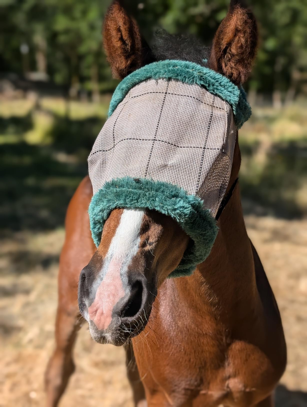 Farnam SuperMask II Horse Fly Mask Without Ears, Avg Size, Color May Vary | Extended Coverage Equine Fly Protection, Protects Eyes from Insects, Debris & UV, Adjustable Throat Latch, Plush Fleece Trim customer photo 1