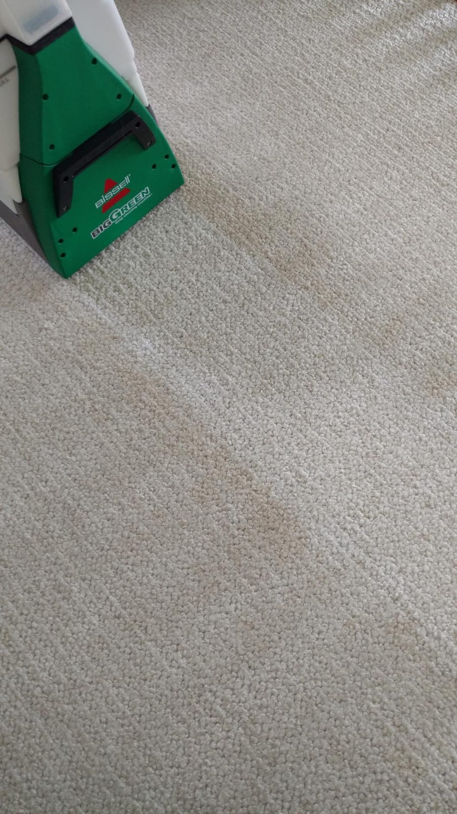 BISSELL Big Green Professional Carpet Cleaner, XL DirtLifter PowerBrush customer photo 1