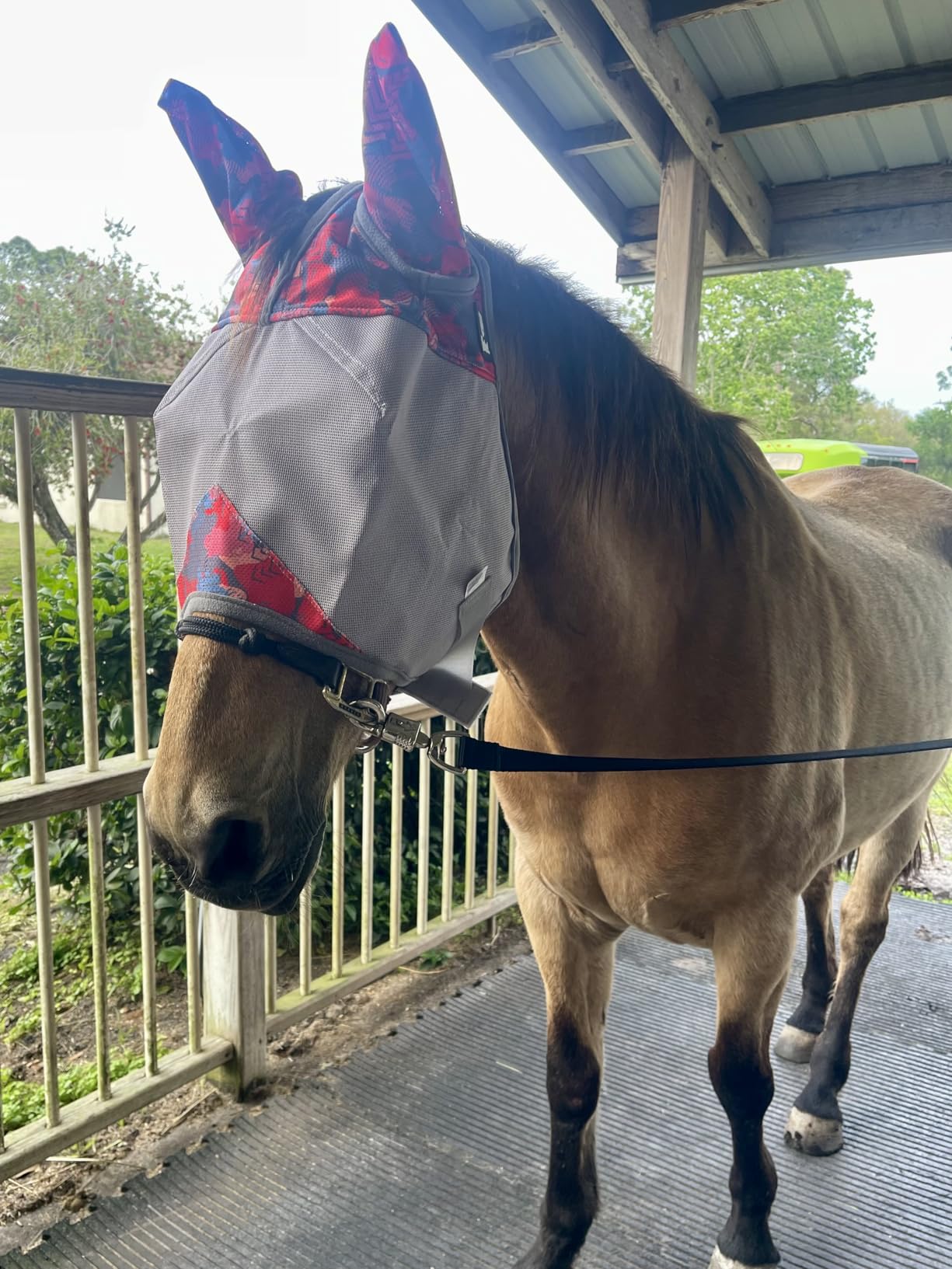 Cashel Crusader Fly Mask, Long Nose with Ears customer photo 2