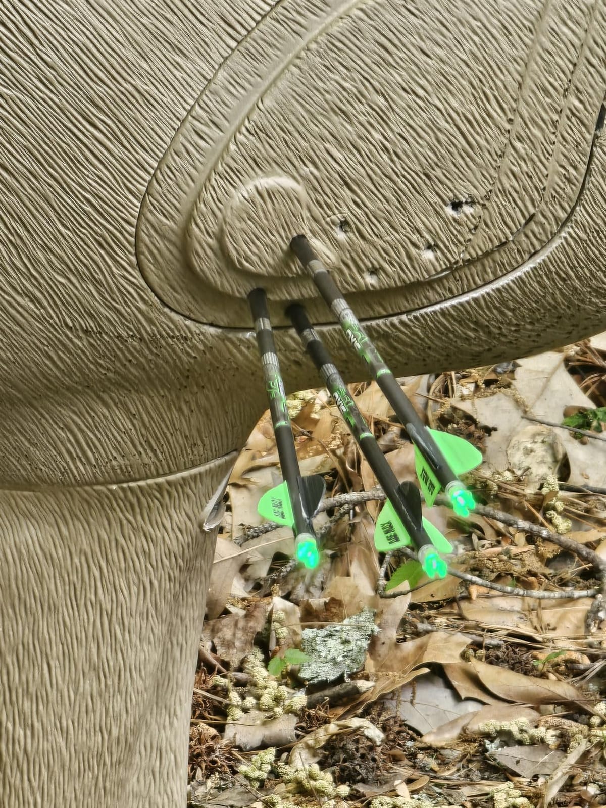 SHOOTER Buck 3D Archery Target, Replaceable Insert for Long Life, Weather-Resistant Construction, High-Density Impact-Response Foam Withstands Field Points, Broadheads, and Expandables customer photo 1
