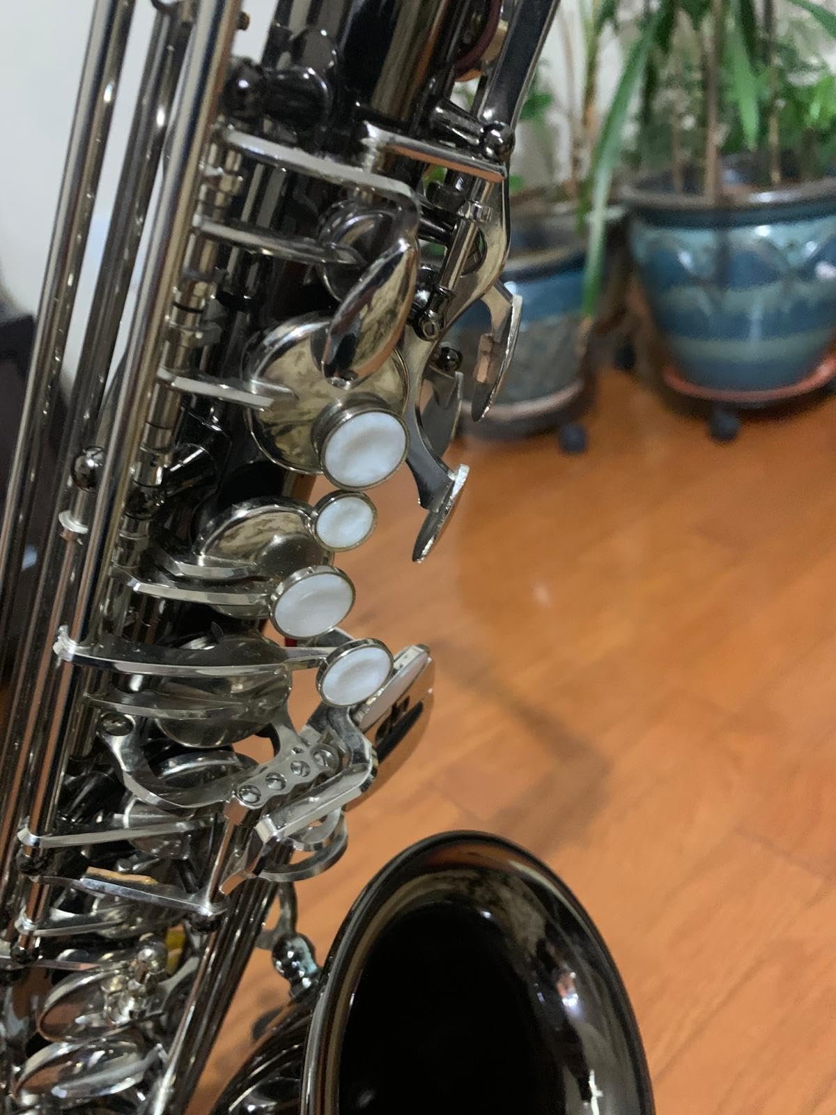 Mendini By Cecilio Eb Alto Saxophone Kit for Beginner - Gold Red customer photo 1