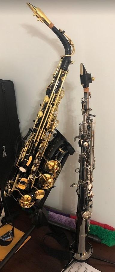 Mendini By Cecilio Eb Alto Saxophone Kit for Beginner - Silver | Complete Set with Tuner, Mouthpiece, Case, 10 Reeds, Grease, Cloth, Rod, Gloves, Strap & Book customer photo 1