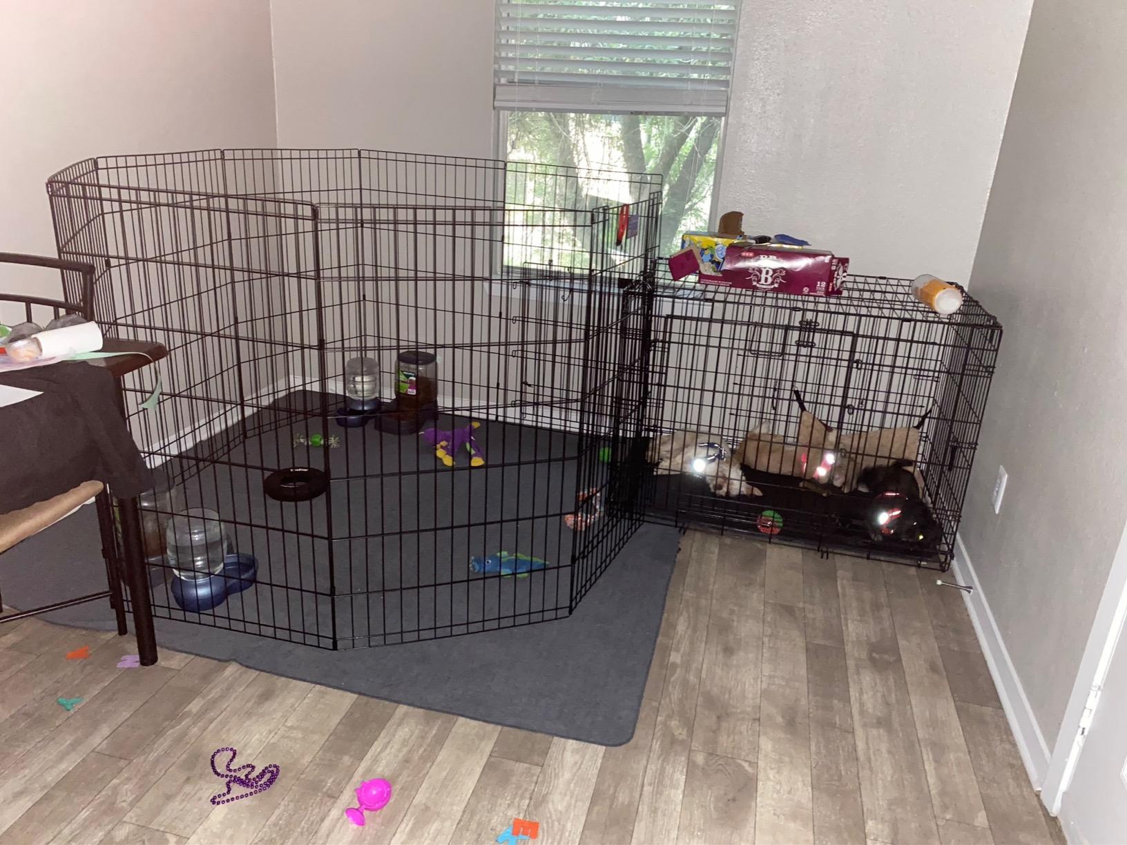 MidWest Homes for Pets 42-Inch Exercise Pen, for Indoor and Outdoor Use, 16 Sq Feet of Play, Single Door Folding Dog Pen, with Large Door Opening & Secure Latch, Easy to Set Up, Foldable Dog Playpen customer photo 1