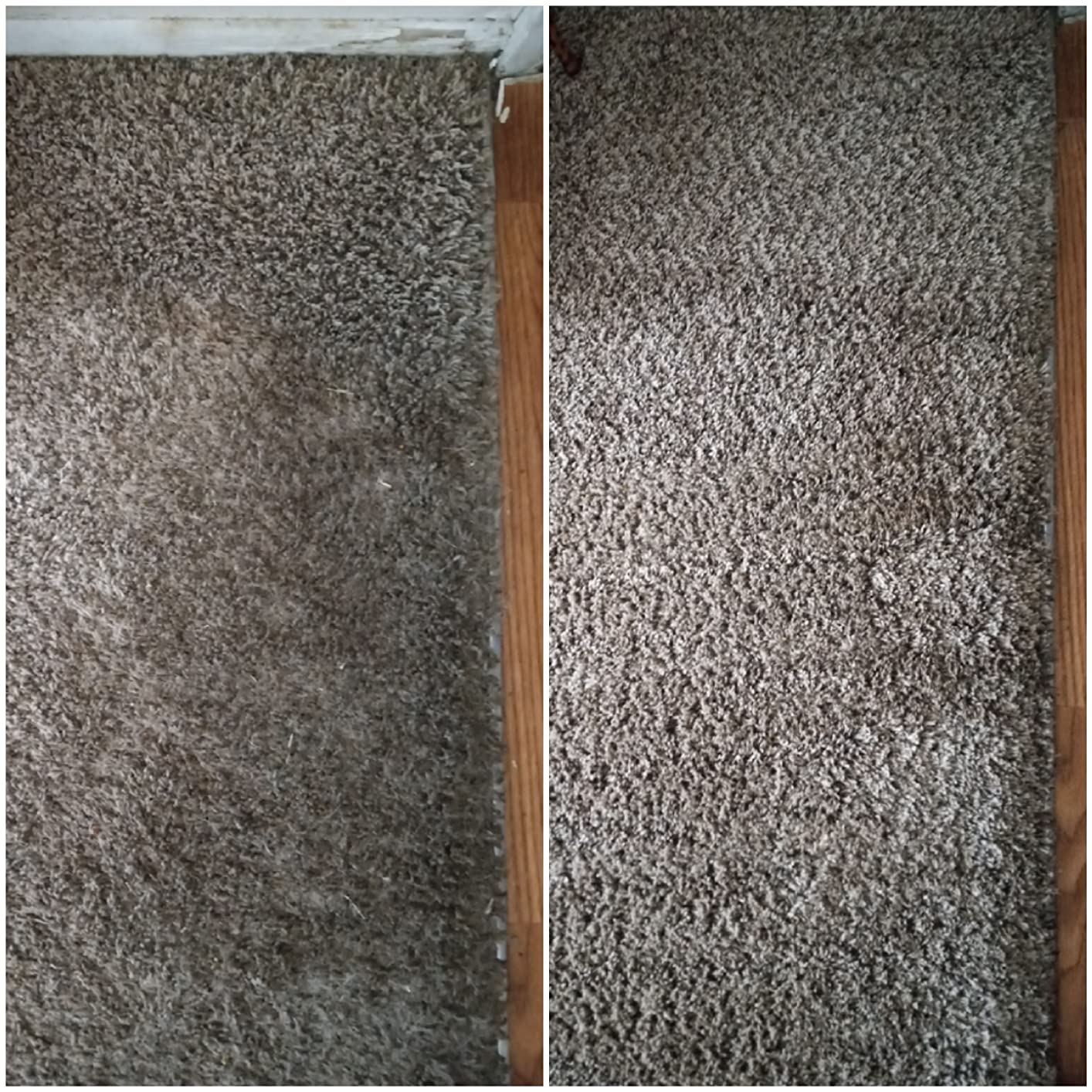 Resolve Professional Strength Spot and Stain Carpet Cleaner, 32 Fl Oz customer photo 1
