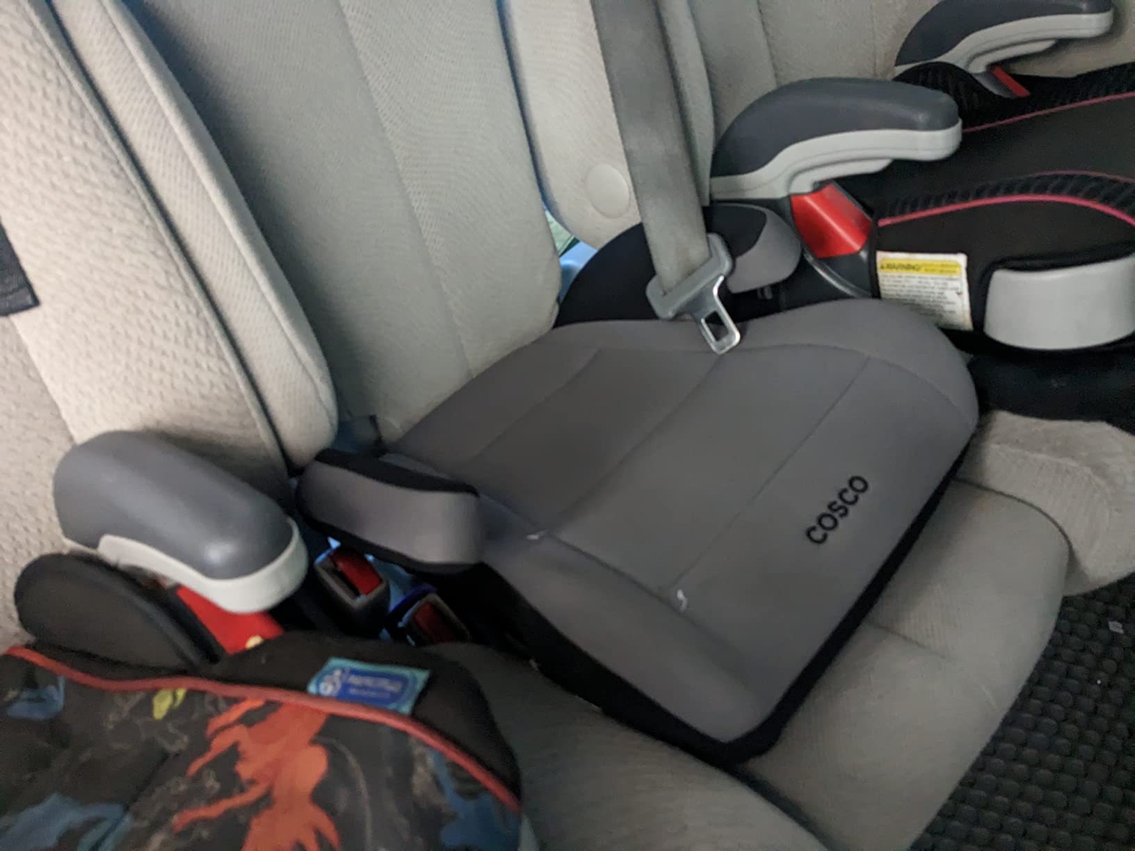 Cosco Topside Backless Booster Car Seat, Lightweight Booster Seats for Cars 40-100 lbs, Leo customer photo 2