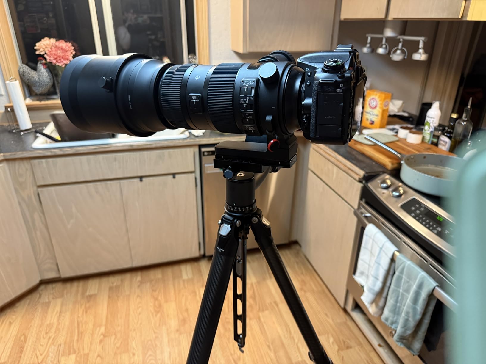 SIRUI PH-20 Gimbal Head, 360° Panoramic Tripod Head for DSLR Telephoto Lens, Carbon Fiber Construction customer photo 1