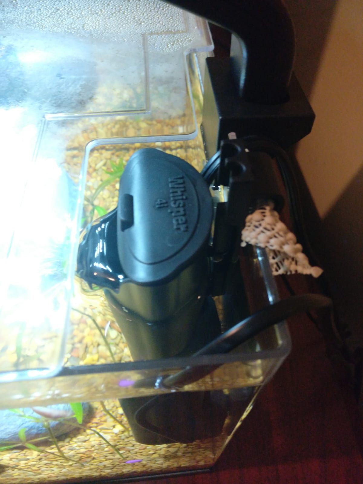 Tetra 3 Gallon Fish Tank, Aquarium Starter Kit with Pedestal Base, LED Light and Filter, For small tropical fish, guppies, goldfish, or betta customer photo 1