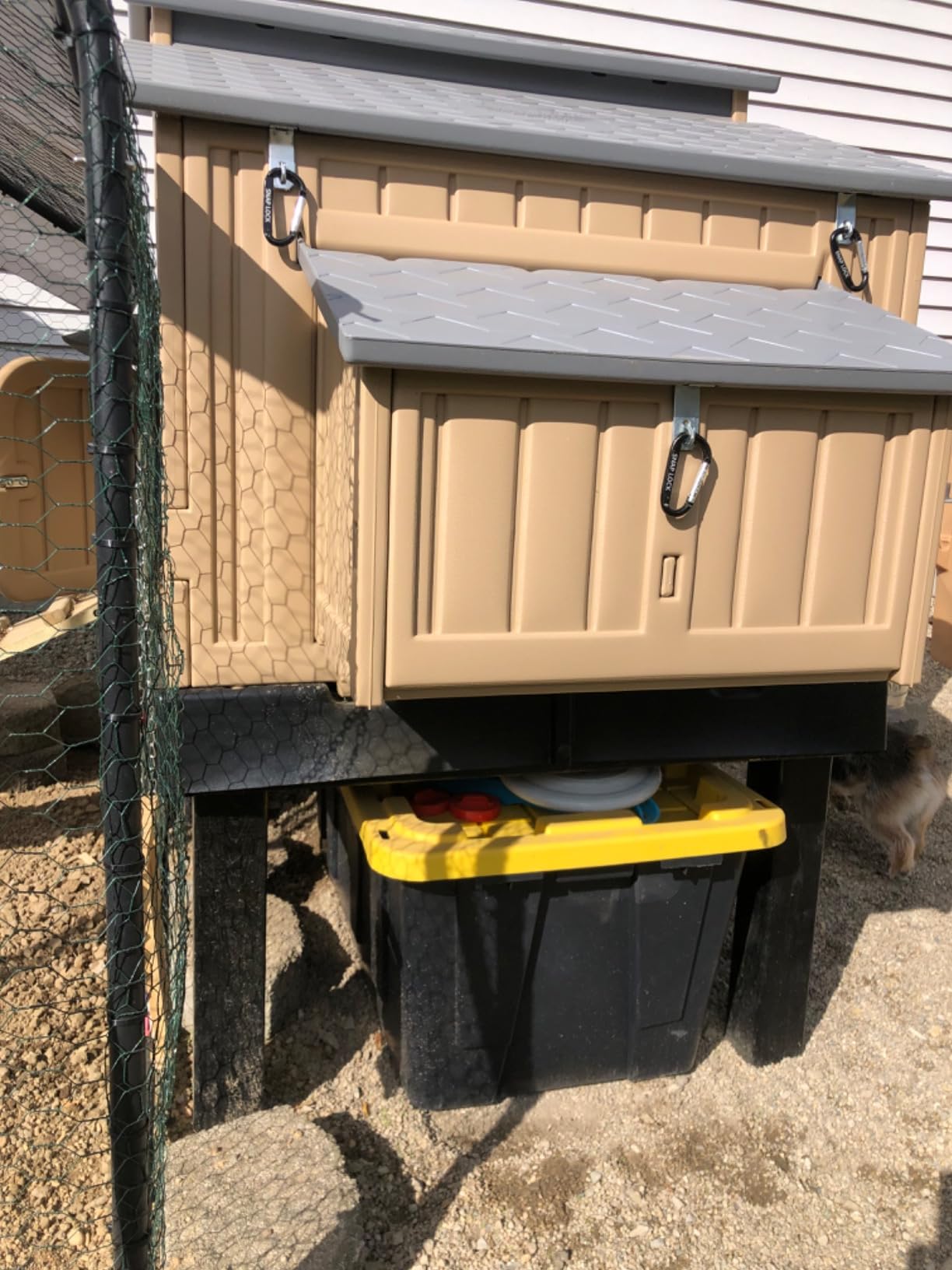 Formex Snap Lock Large Chicken Coop Backyard Hen House 4-6 Large 6-12 Bantams customer photo 1
