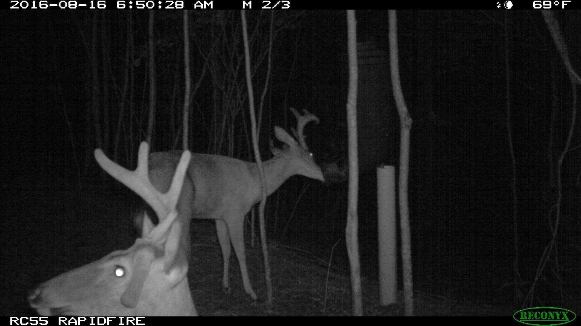 REDNEK Redneck Outdoors T-Post Gravity Feeder customer photo 1