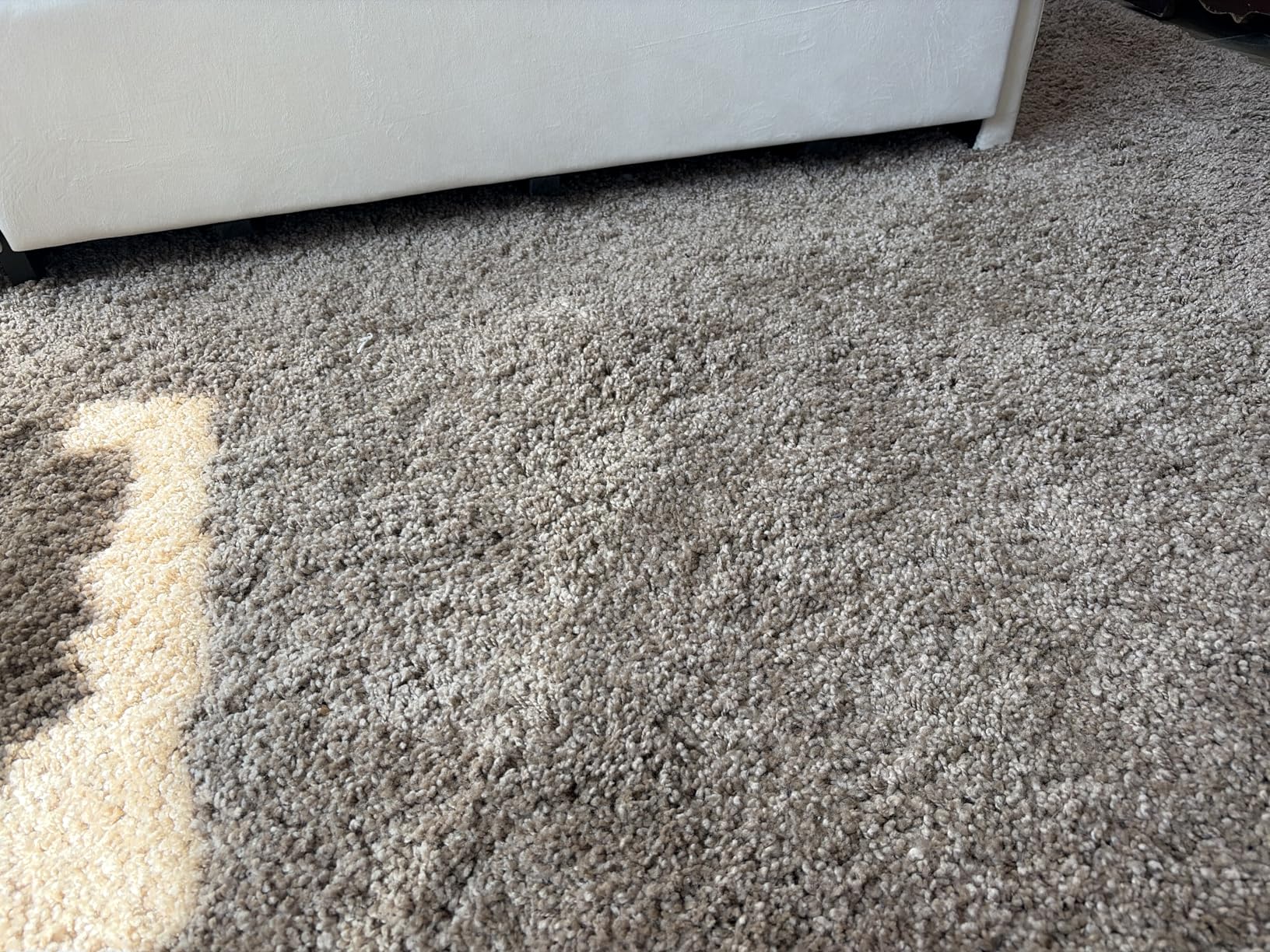 SAFAVIEH Milan Shag Collection Area Rug 8' x 10', Dark Beige, Solid Design, Plush Thick Pile (SG180-1414) customer photo 1