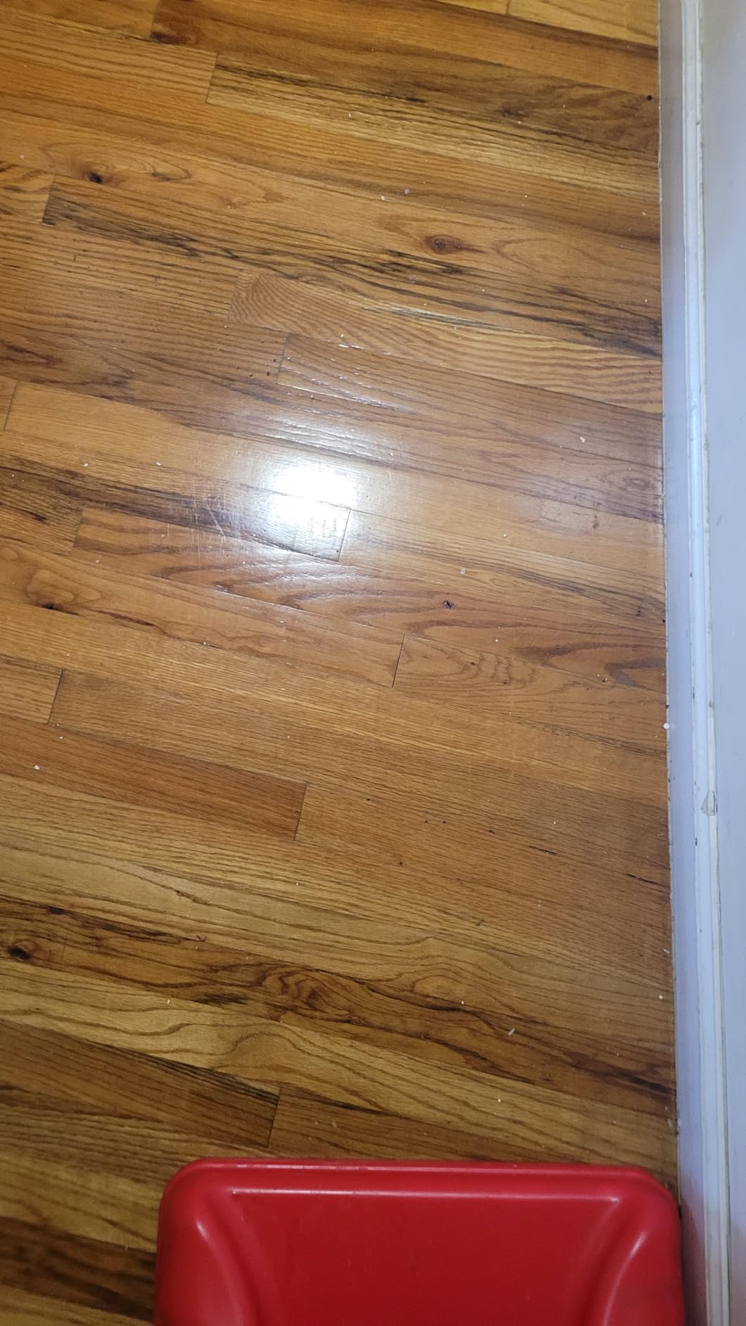 Quick Shine Hardwood Floor Luster 27 oz, Natural Looking Shine | Plant Derived Carnauba Polish, Renew & Protect, Streak & Haze Free, Non-slip, pH Neutral, No PFAS, EPA Safer Choice customer photo 1