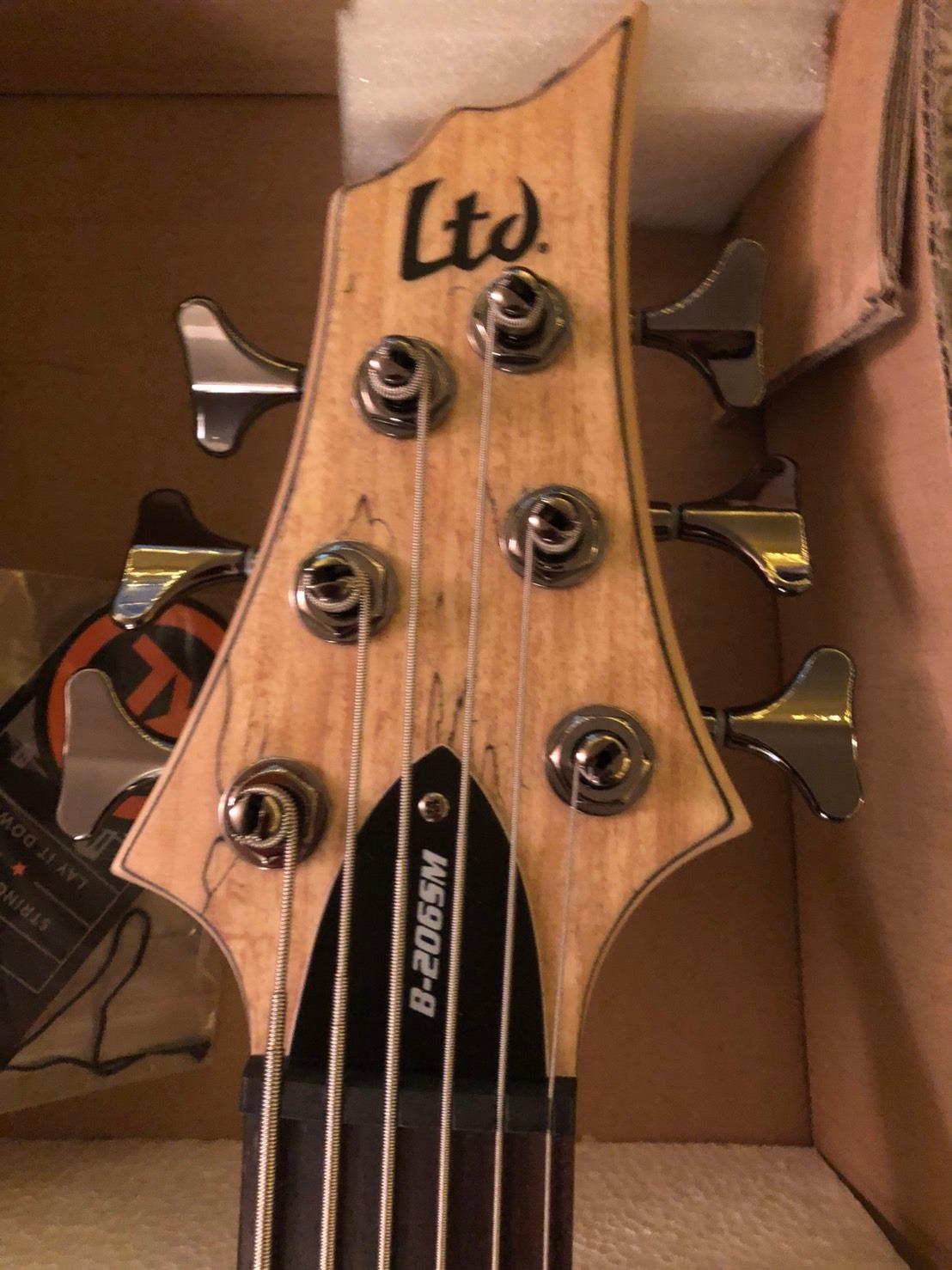 ESP LTD B-205SM Fretless - Natural Satin customer photo 2