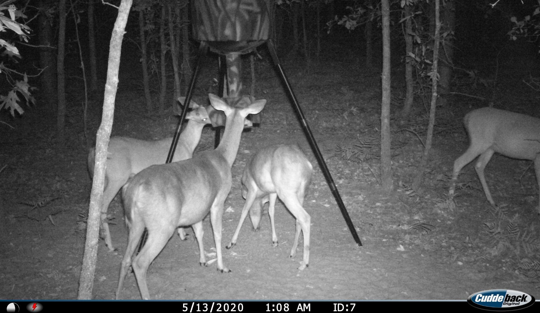Wildgame Innovations Quick-Set 270 lb Game Feeder - Durable Tripod Corn/Pellet Hunting Feeder with Digital Timer customer photo 1