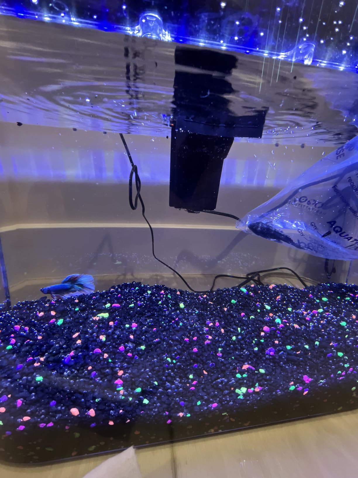 Koller Products 5-Gallon Aquarium Kit with LED Lighting and Power Filter, Ideal for a Variety of Tropical Fish customer photo 2