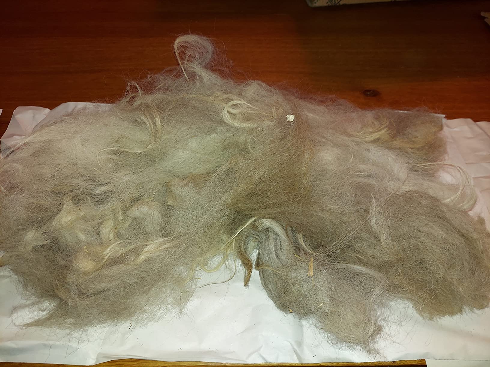 Ashford Wild Drum Carder customer photo 2