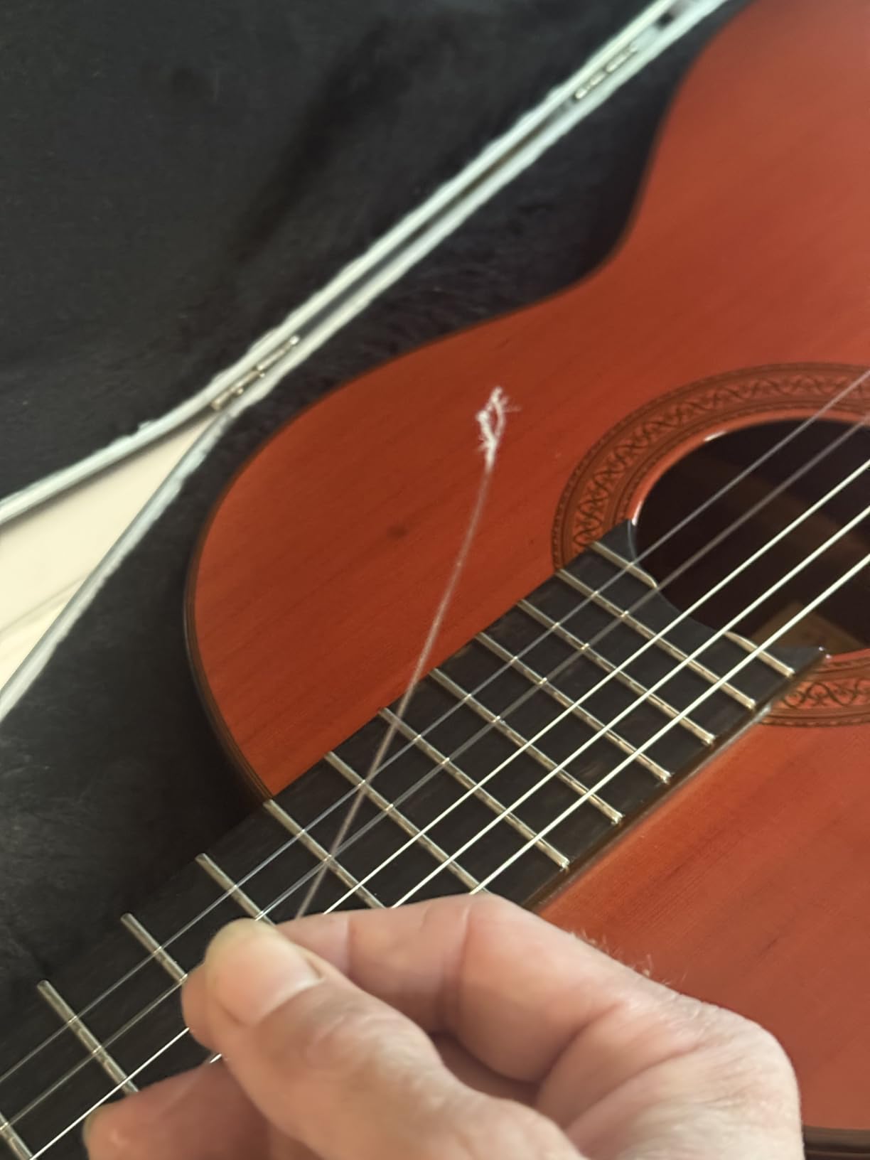 D'Addario Pro-Arté Carbon Classical Strings EJ45FF, Normal Tension customer photo 1
