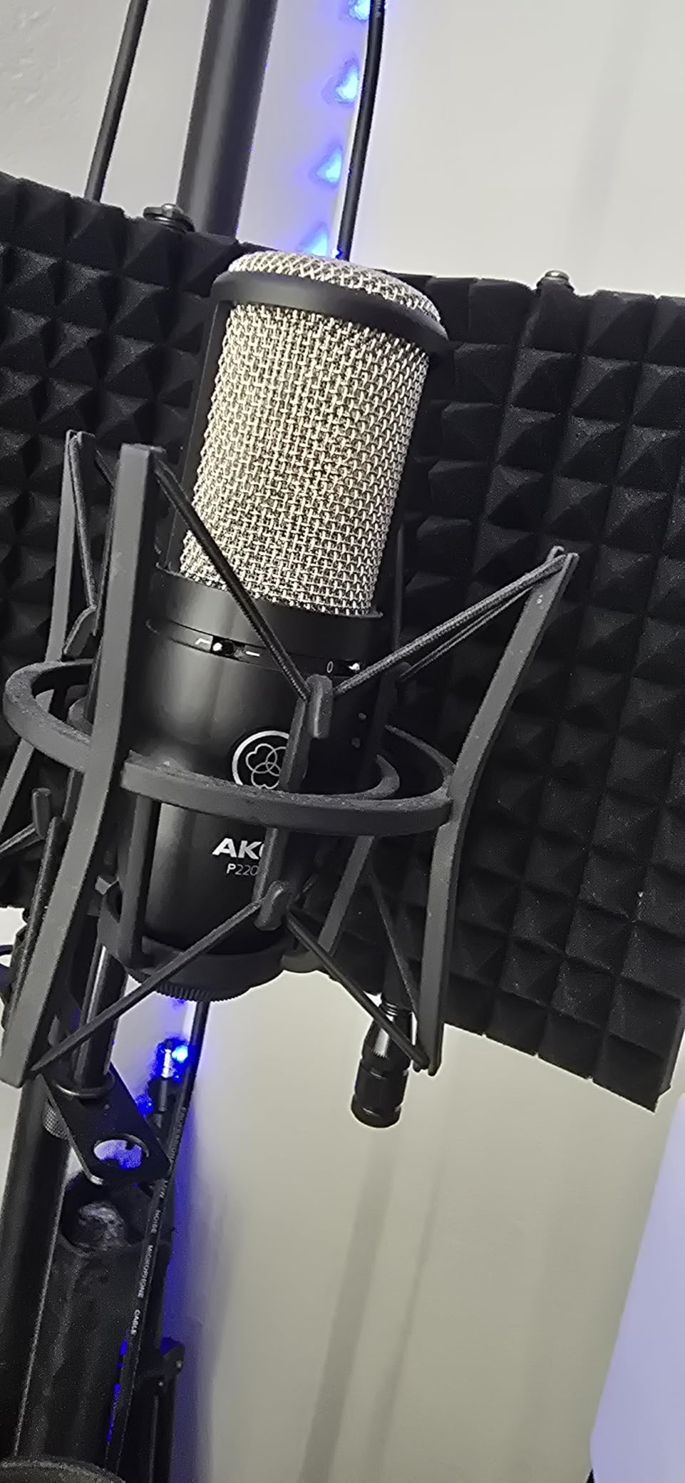 AKG Pro Audio P220 High-Performance Condenser Microphone, Great for Vocals, Guitar, Brass, and General Recording. XLR Wired Mic, for Studio or Stage. Black customer photo 1