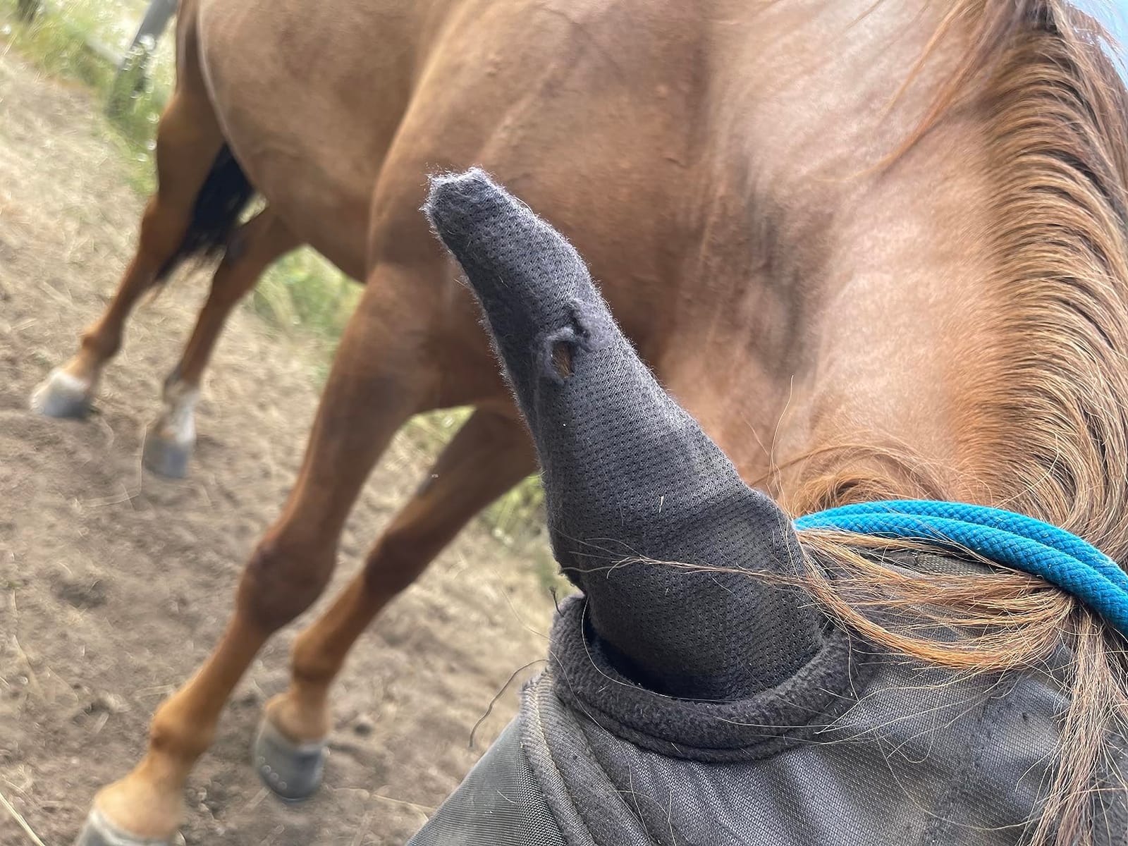 Harrison Howard CareMaster Horse Fly Mask Large Eye Space Half Face with Ears Moonlight Silver Large Full Size customer photo 2