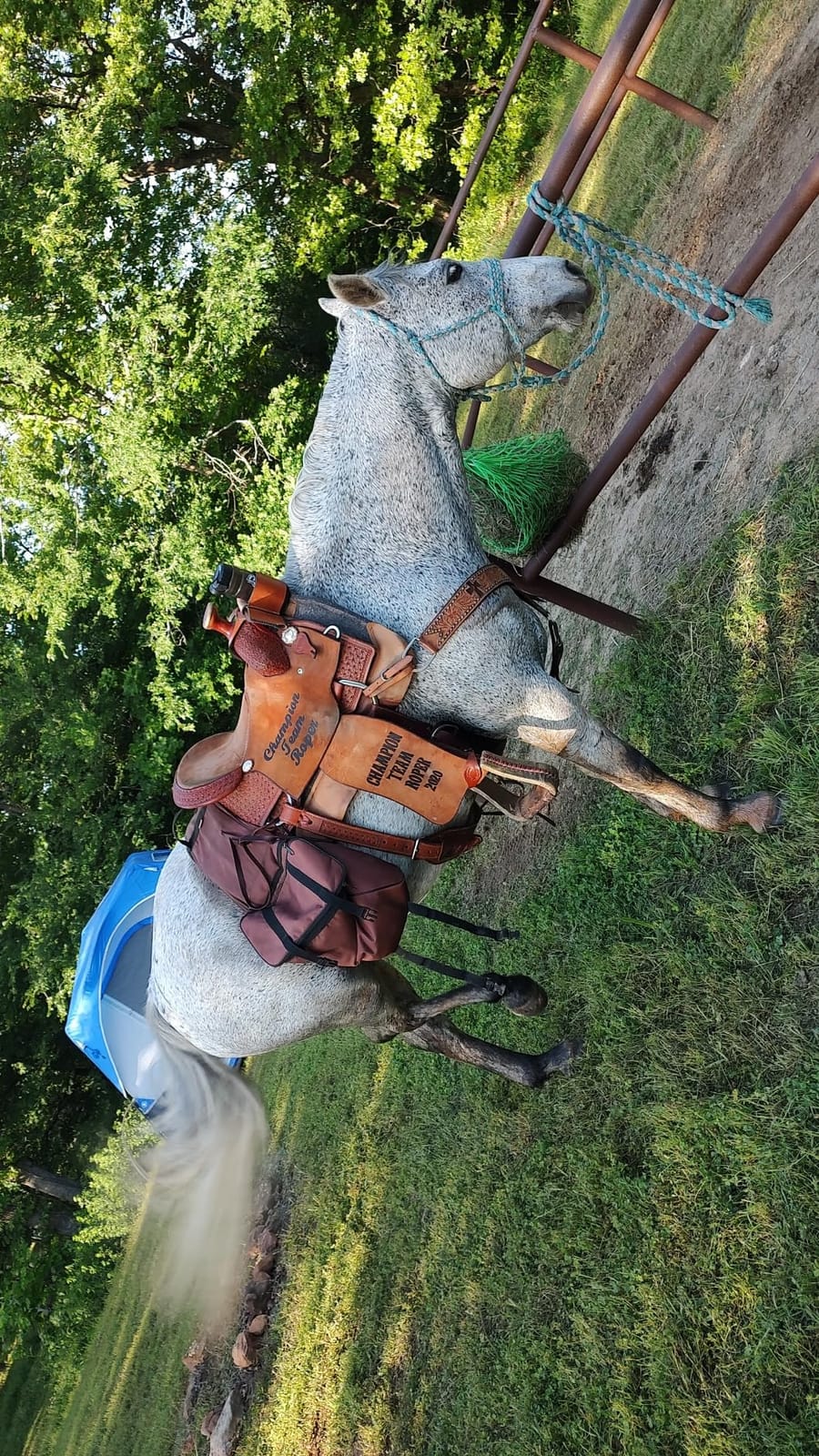 Impact Gel Contour Felt Saddle Pad customer photo 1