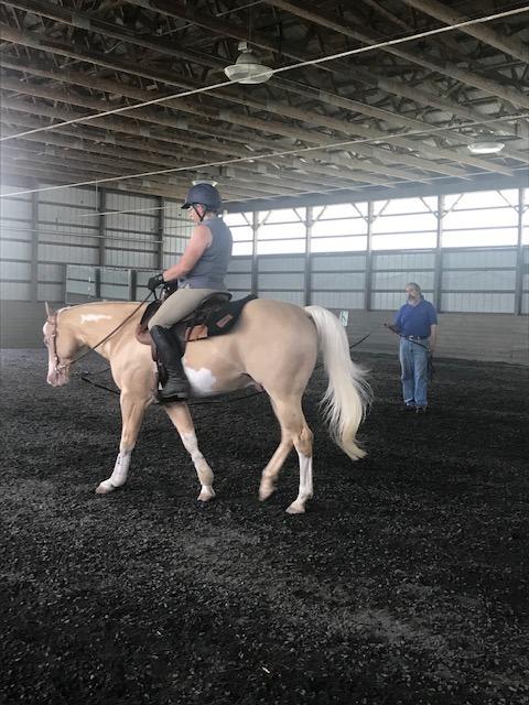 Impact Gel Contour Felt Saddle Pad customer photo 2