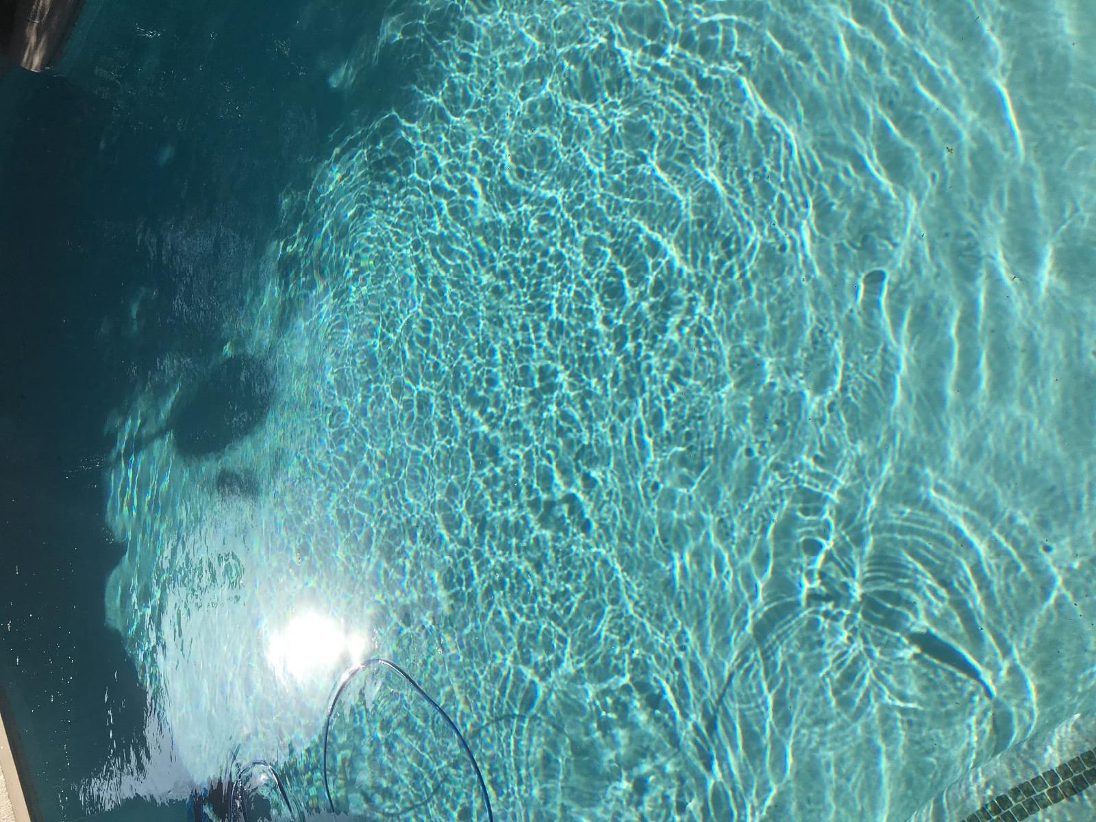 Dolphin Automatic Robotic Pool Vacuum Cleaner, Wall Climbing Scrubber Brush, Smart Navigation, Ideal for In-Ground Pools up to 40FT in Length - Nautilus CC Plus customer photo 1