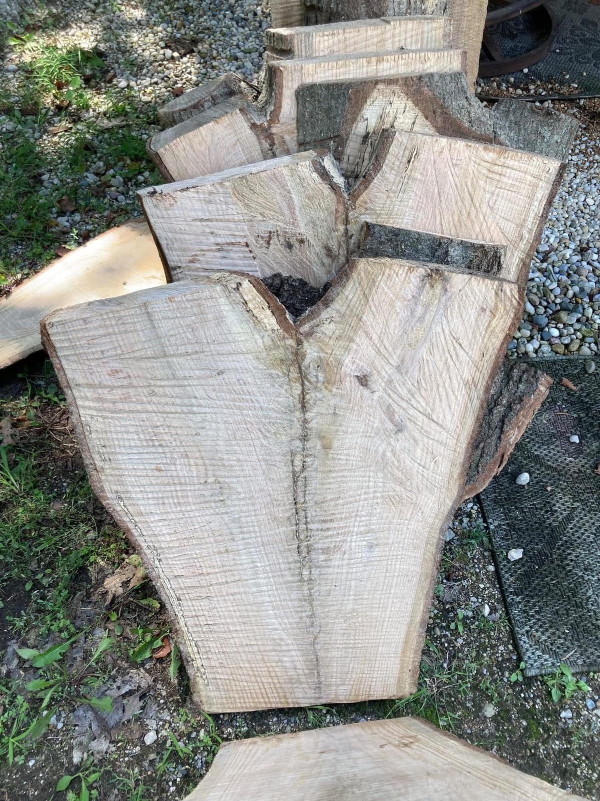 BLACK+DECKER Electric Chainsaw Corded, 18-Inch, 15-Amp Lightweight Chain Saw with Automatic Oiler (CS1518) customer photo 1
