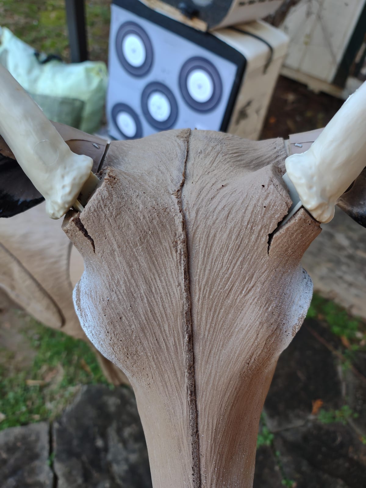 Delta 51490 Bloodline Buck, X-Large 3D Archery Target customer photo 2