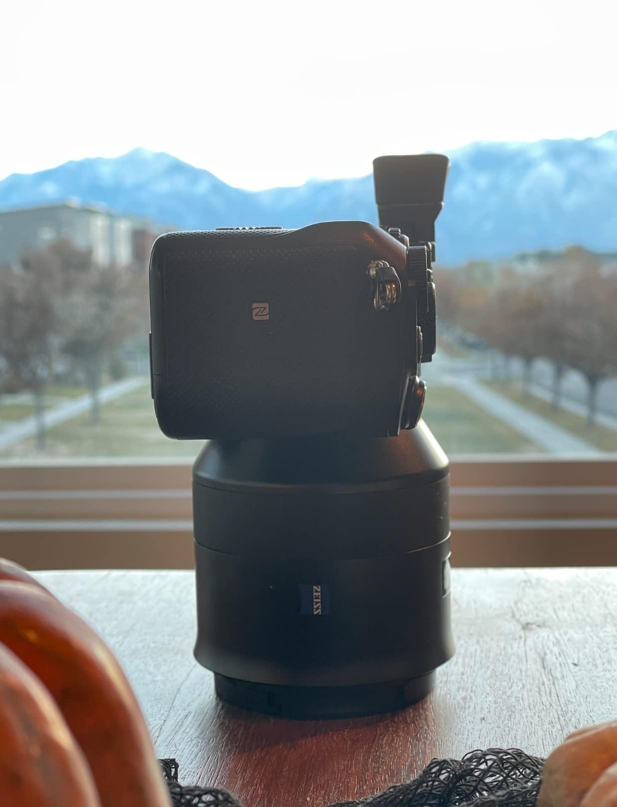 Zeiss Batis 85mm f/1.8 Lens for Sony E Mount Mirrorless Cameras, Black customer photo 1
